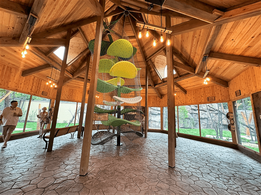 Indoor climbing structure with colorful holds