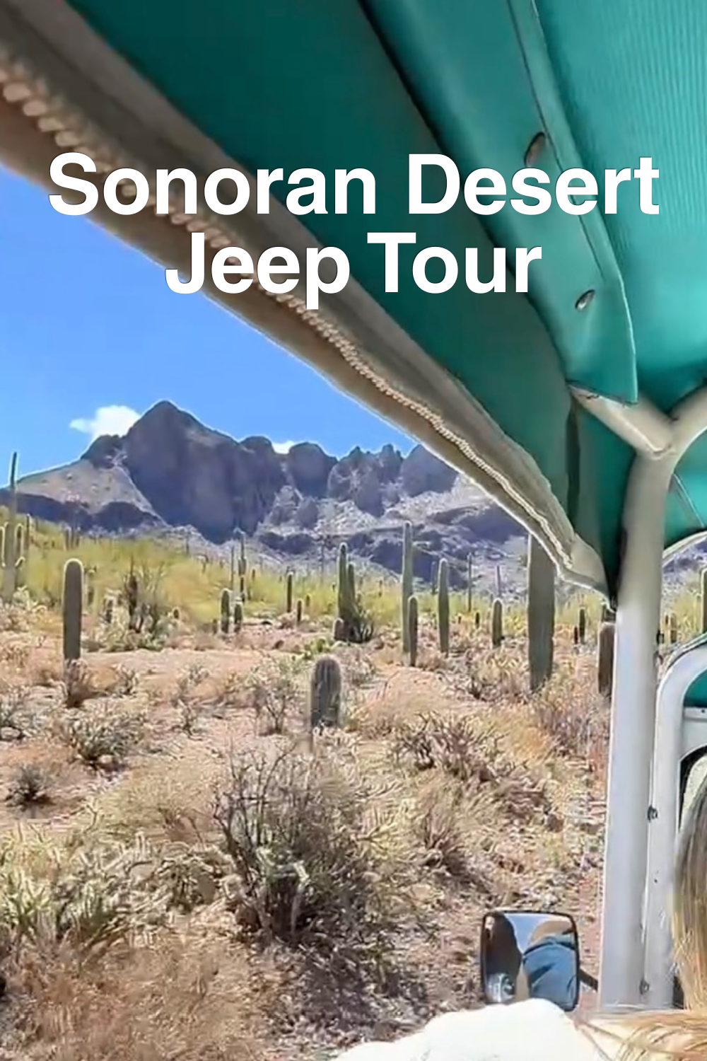 Sonoran Desert Tour