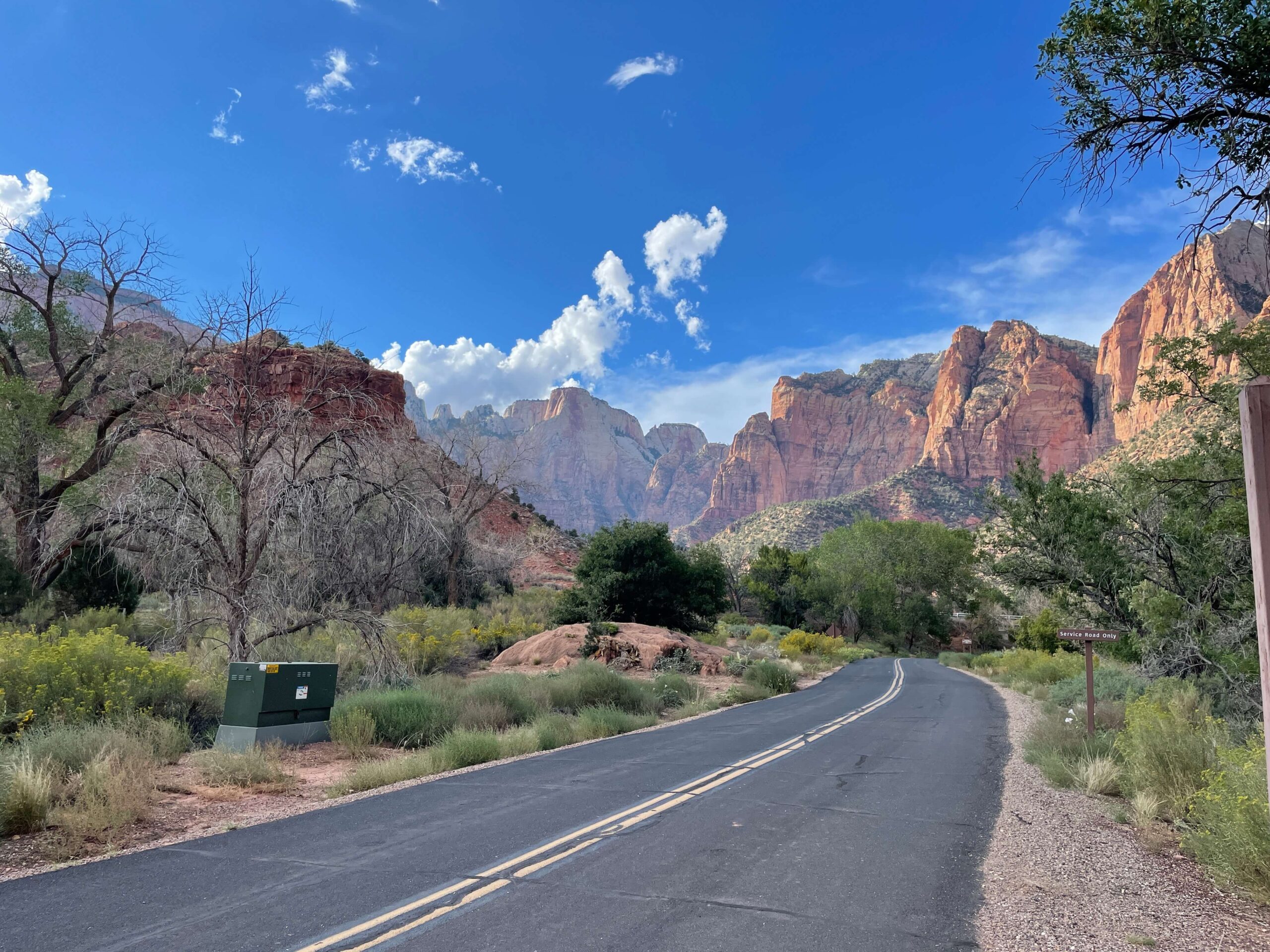 Scenic road through Zion National Park