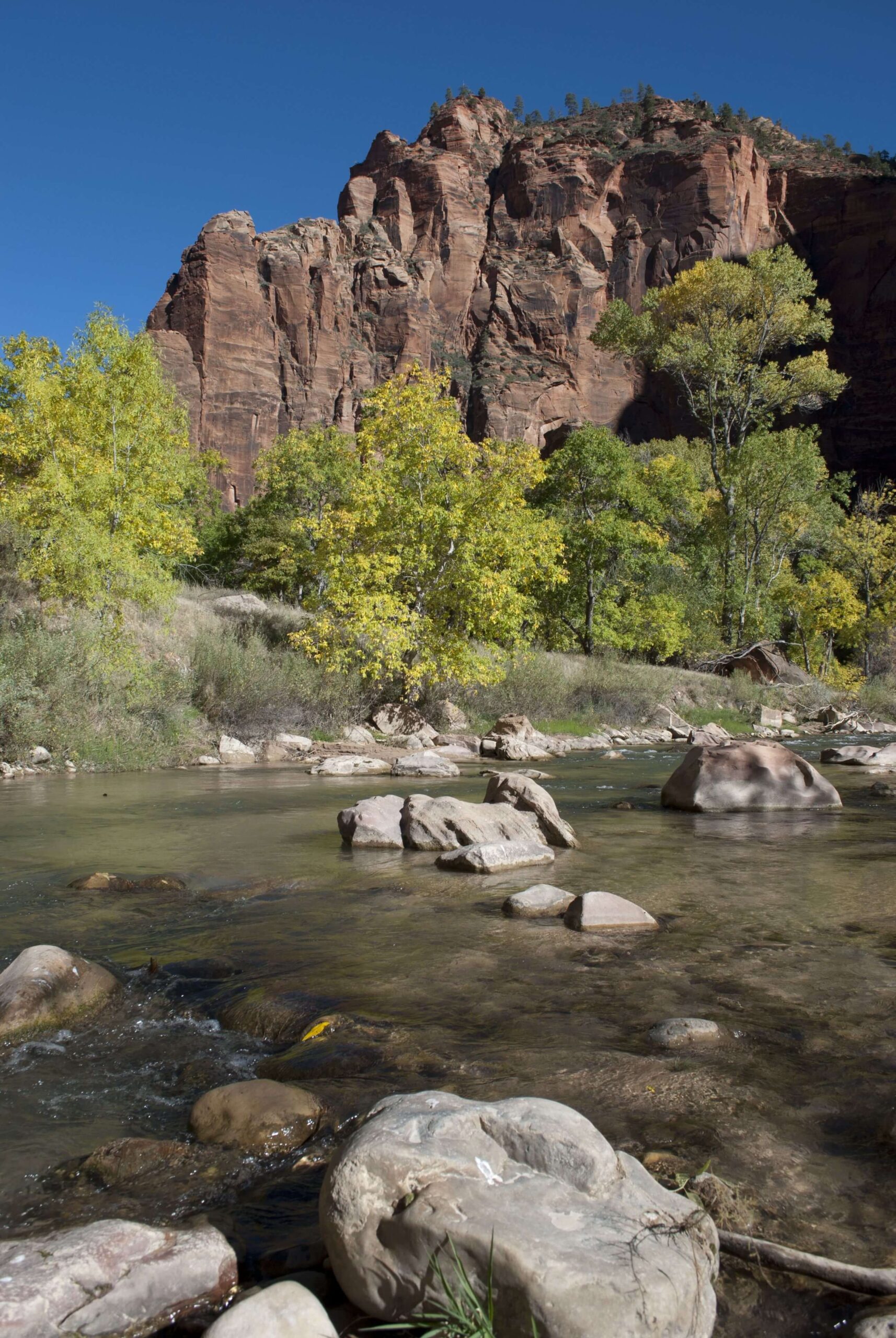 River flowing near rocky cliffs